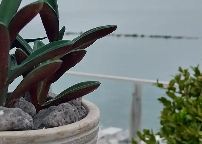 Galazio Seaside Luxury & Coffee Shop * Platamonas