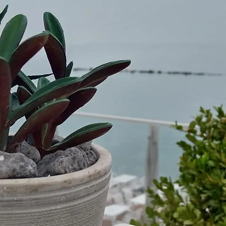 Galazio Seaside Luxury & Coffee Shop * Πλαταμώνας